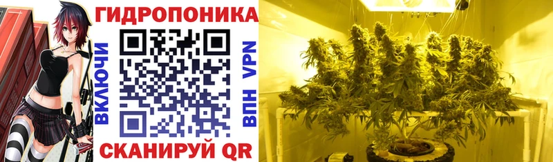 Как найти закладки Чишмы Alpha-PVP Каннабис Меф ГАШ