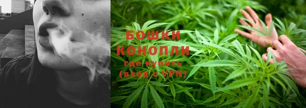 PSILOCYBIN Богородицк