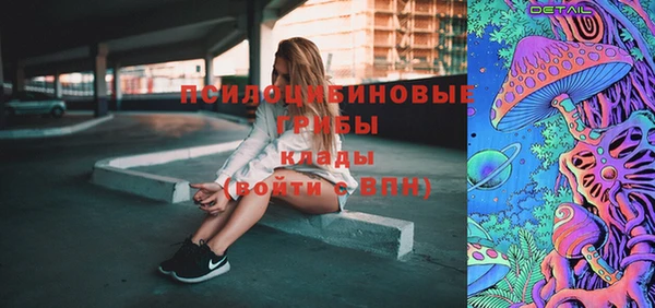 PSILOCYBIN Богородицк