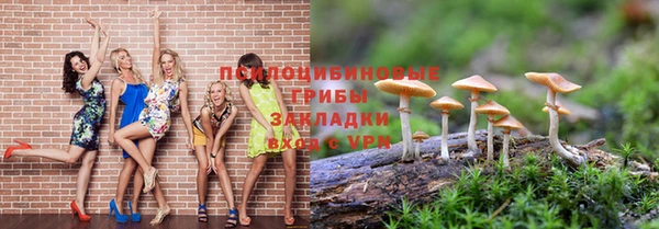 скорость Богданович